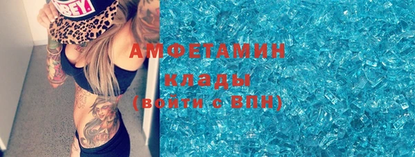 индика Заволжье