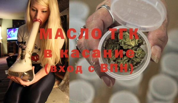 индика Заволжье