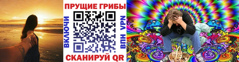 Купить закладки  Долинск  Галлюциногенные грибы GOLDEN TEACHER 